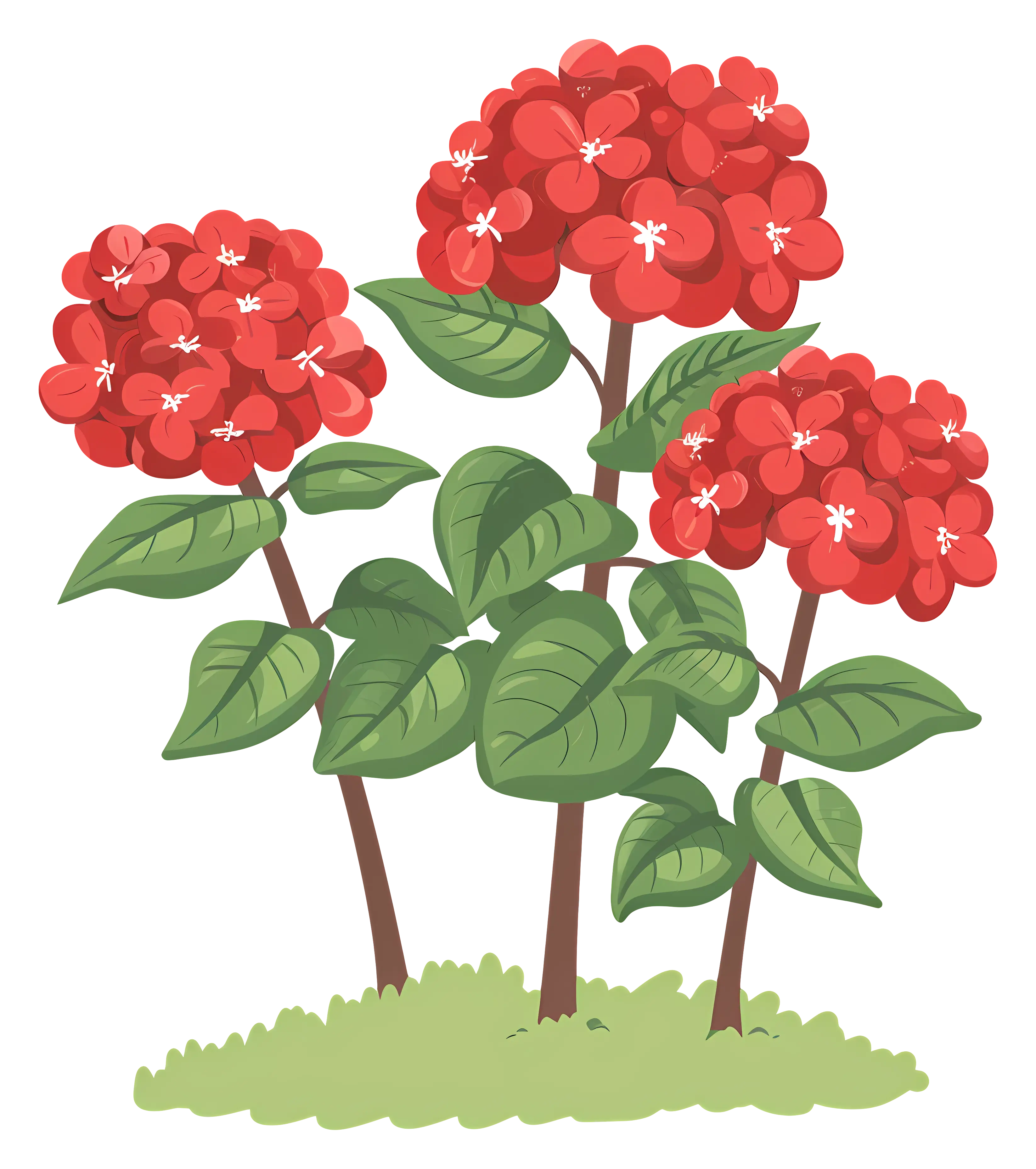 Red Flower Cluster
