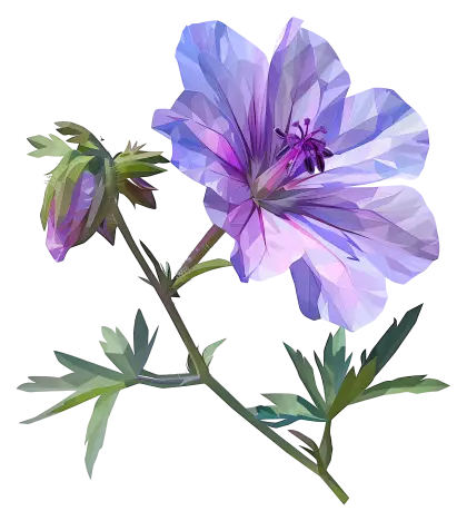Purple Flower with Green Stem