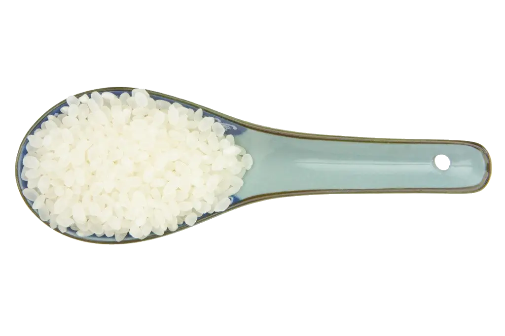 White Rice on Spoon