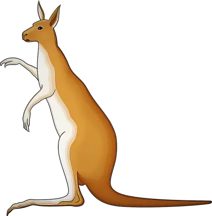 Illustrated Cartoon Kangaroo