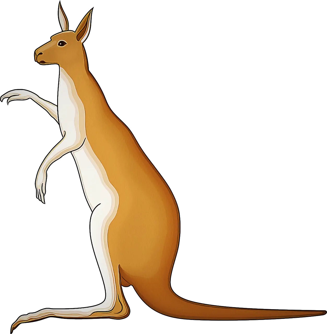 Illustrated Cartoon Kangaroo
