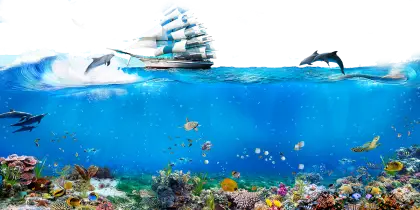 Sailing Ship with Dolphins