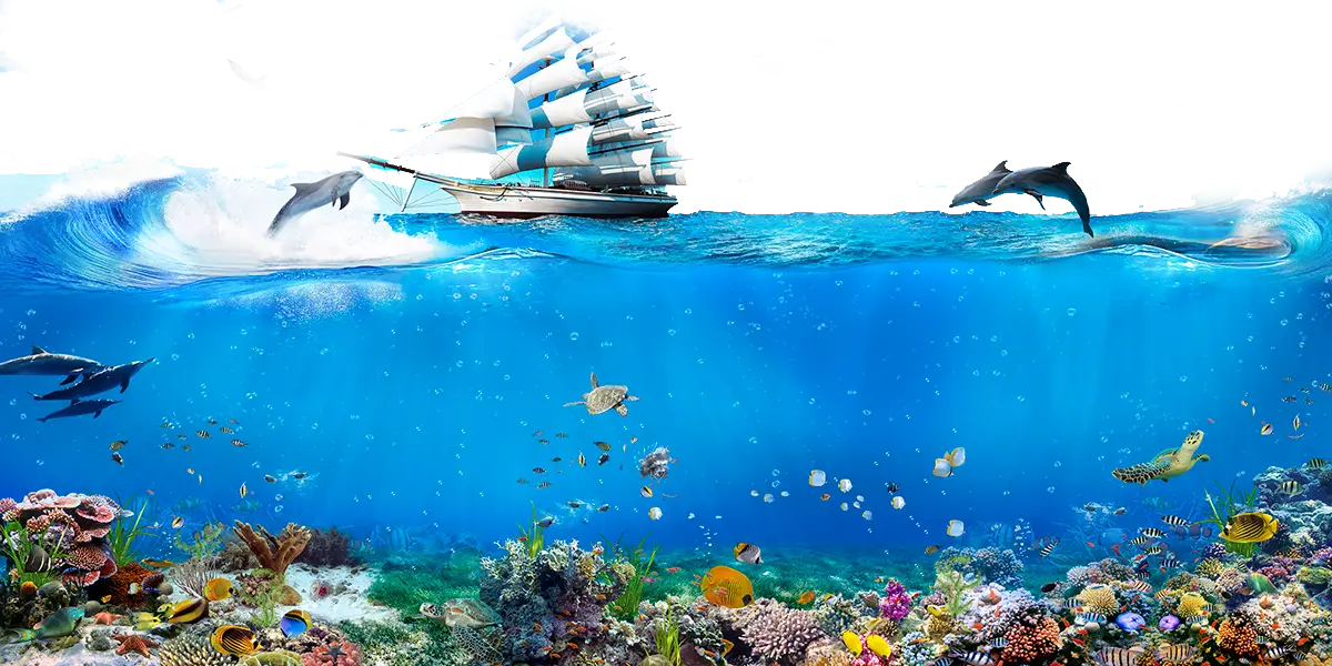 Sailing Ship with Dolphins