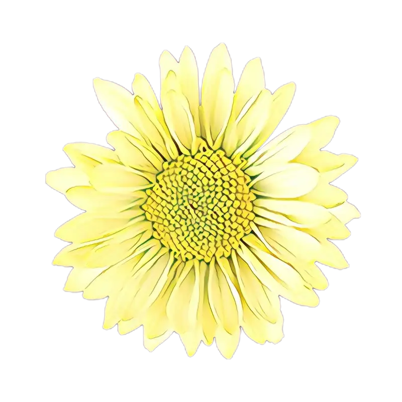 Yellow Flower Illustration Art