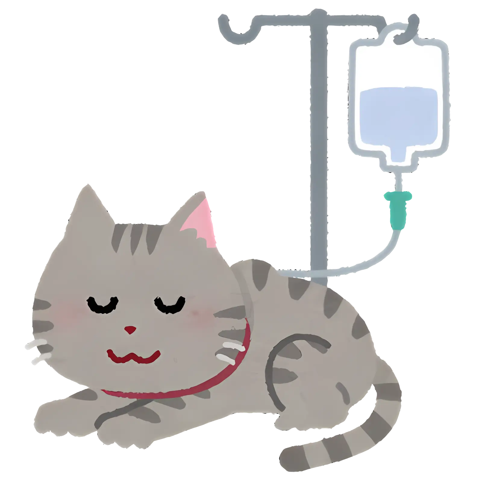 Gray Cat with IV Drip
