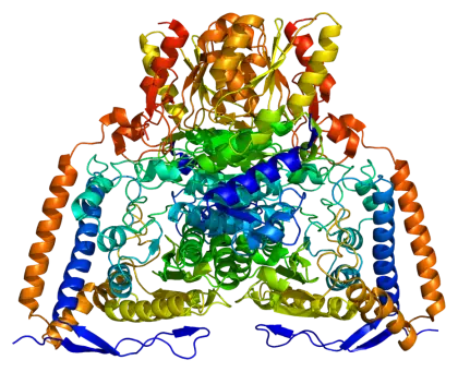 3D Representation of Protein Structure