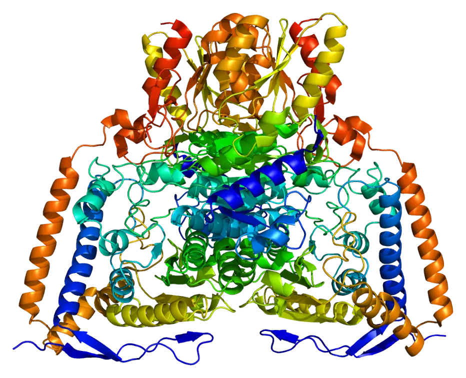 3D Representation of Protein Structure