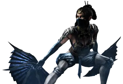 Female Ninja Warrior