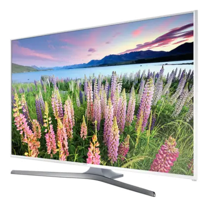 Flat-Screen TV with Nature Display