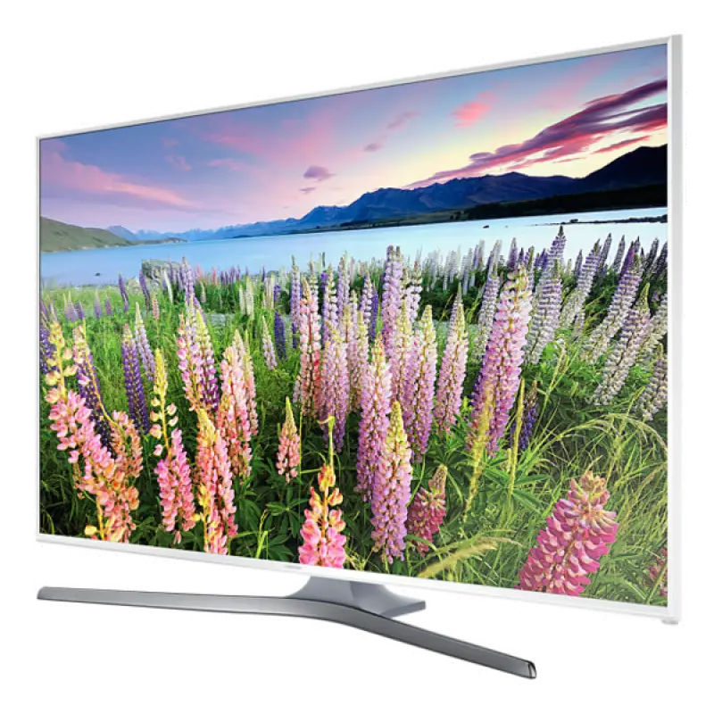 Flat-Screen TV with Nature Display