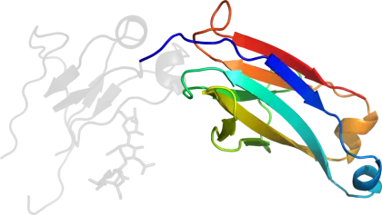 Colorful Protein Structure Illustration