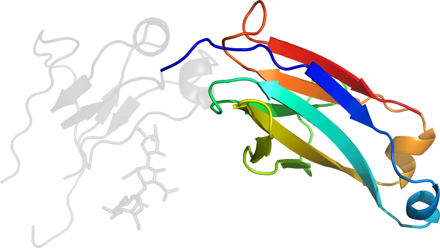 Colorful Protein Structure Illustration