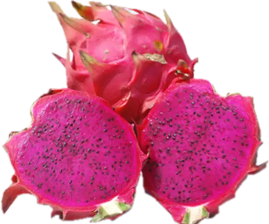 Freshly Cut Dragon Fruit Display