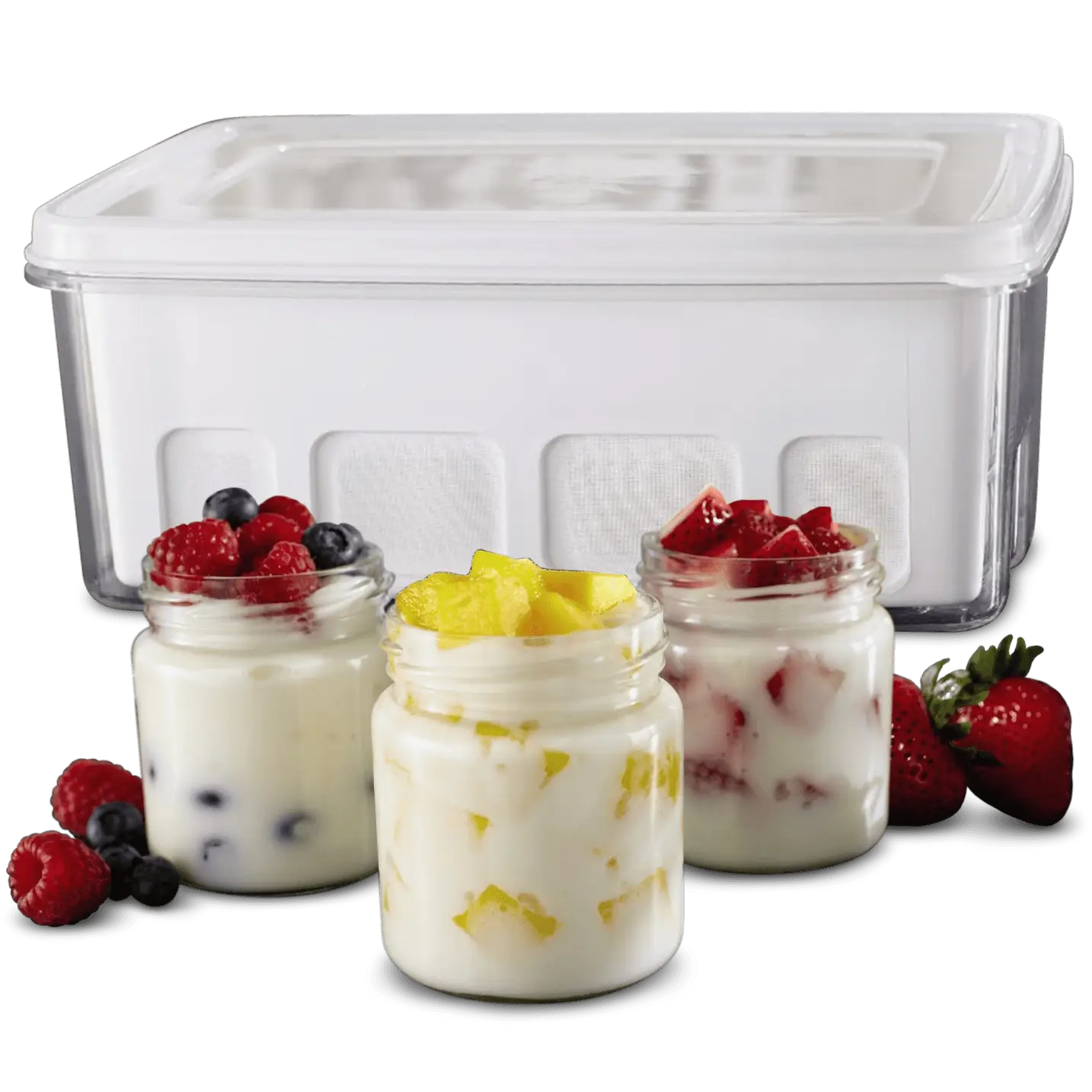 Fruit Yogurt in Jars