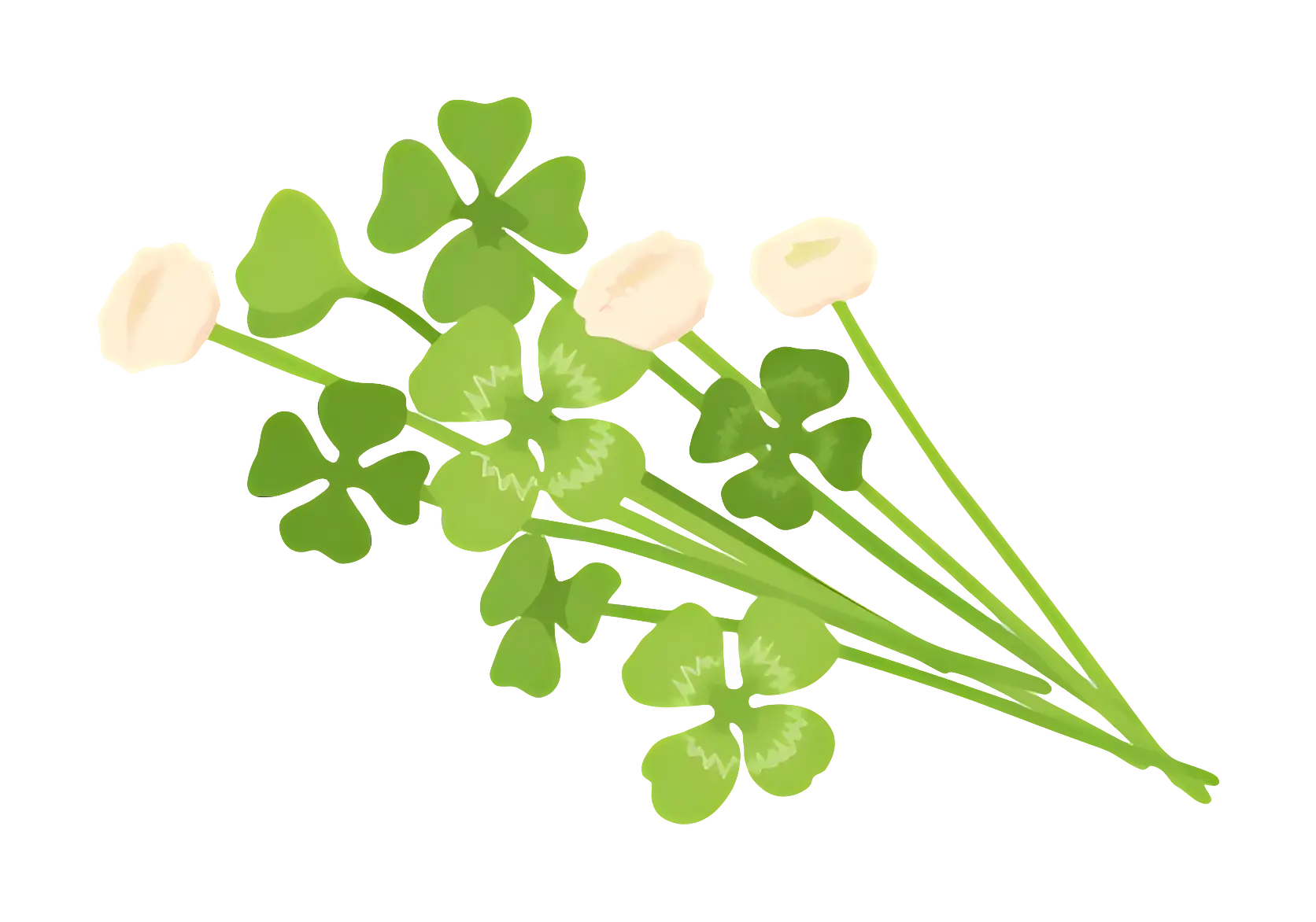 Minimal Clover Leaves and Flower Illustration