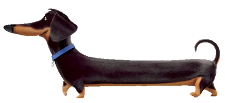 Cartoon Dachshund Dog