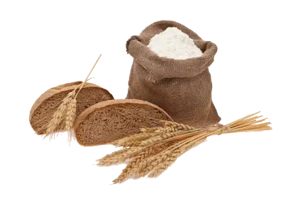Flour Sack with Bread Slices and Wheat