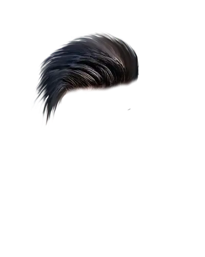 Stylish Black Hair