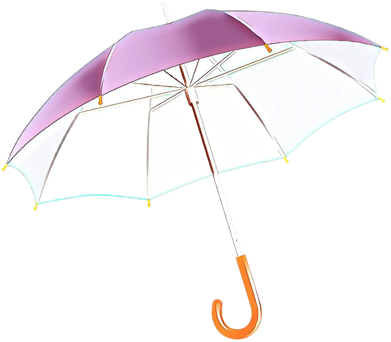 Purple and Pink Dual-Tone Umbrella