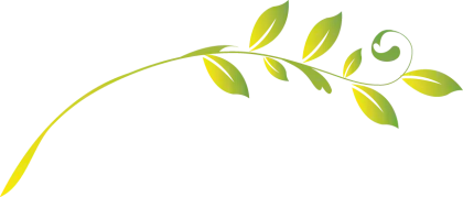 Green Leafy Branch Illustration