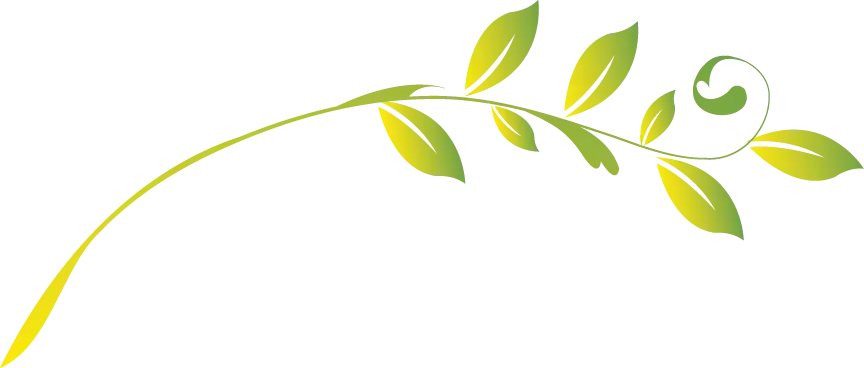 Green Leafy Branch Illustration