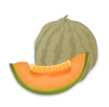 Whole and Sliced Cantaloupe