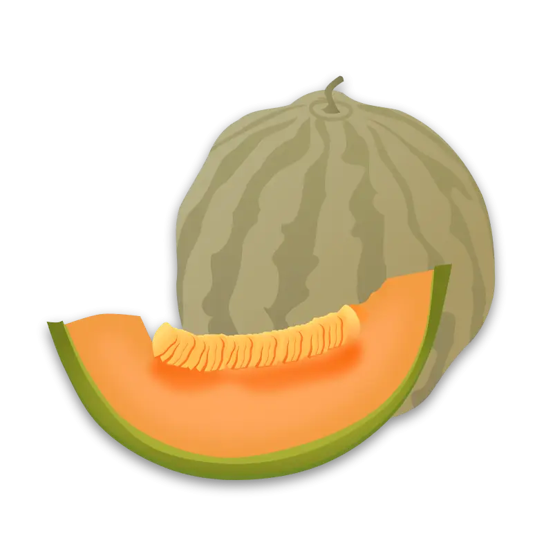 Whole and Sliced Cantaloupe
