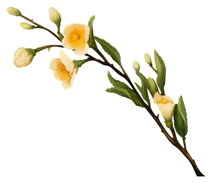 Branch with Yellow Blossoms