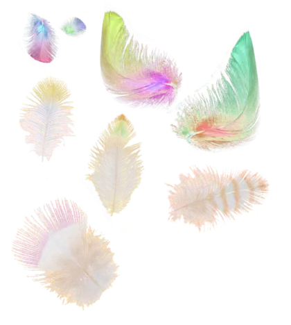Soft Colorful Feathers for Decoration