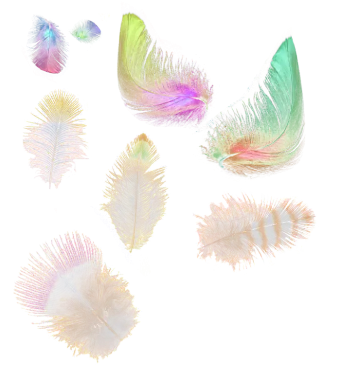 Soft Colorful Feathers for Decoration