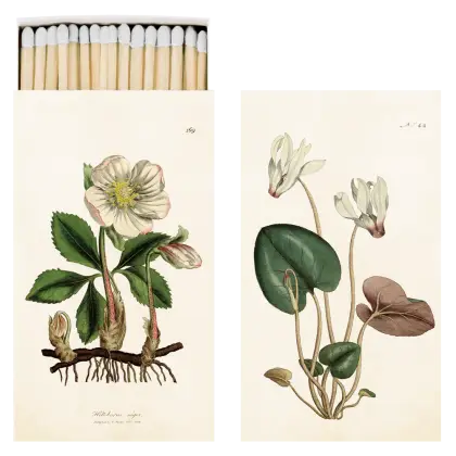 Vintage Botanical Flower Illustrations