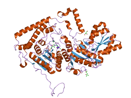 Protein Structure Diagram in Molecular Biology
