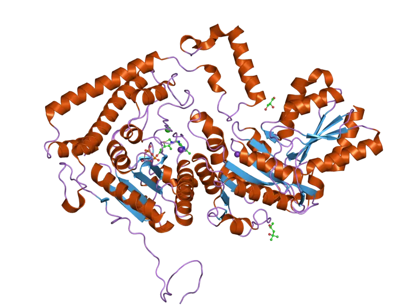 Protein Structure Diagram in Molecular Biology