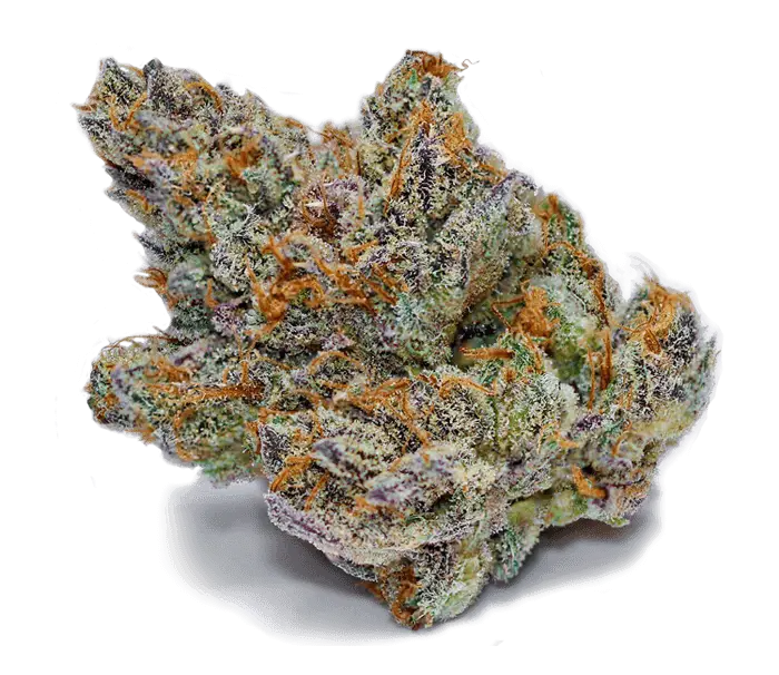 Colorful Cannabis Bud