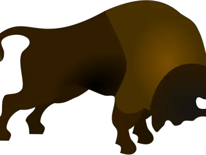 Brown Buffalo Illustration