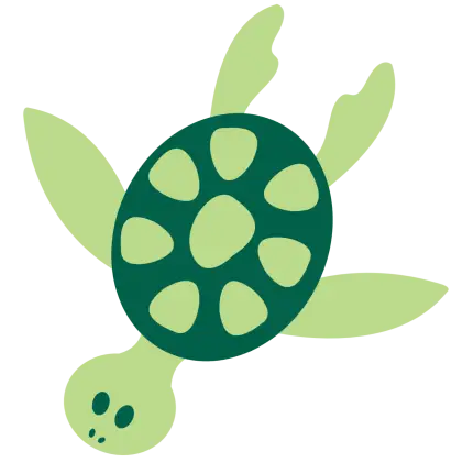 Cute Green Cartoon Turtle