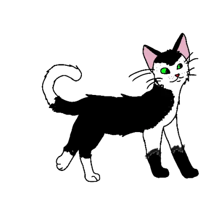 Black and White Cartoon Cat