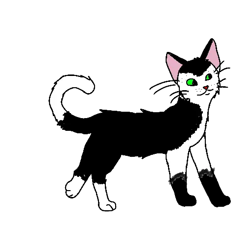 Black and White Cartoon Cat