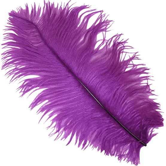 Vibrant Purple Feather Decoration