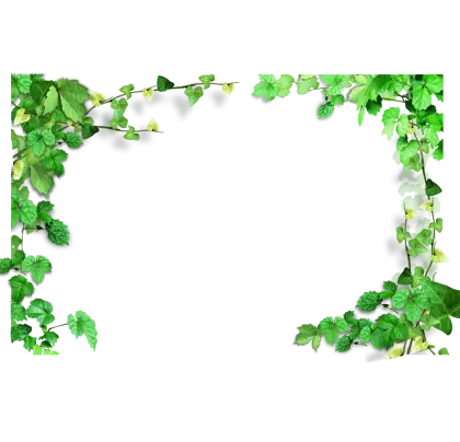 Floral Green Leaf Decorative Frame