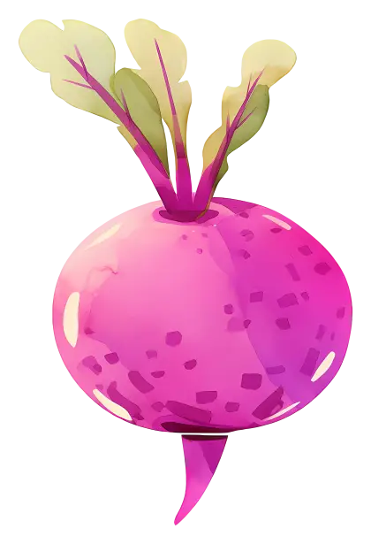 Pink Radish with Leaves Illustration