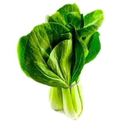 Fresh Bok Choy Bundle for Delicious Recipes