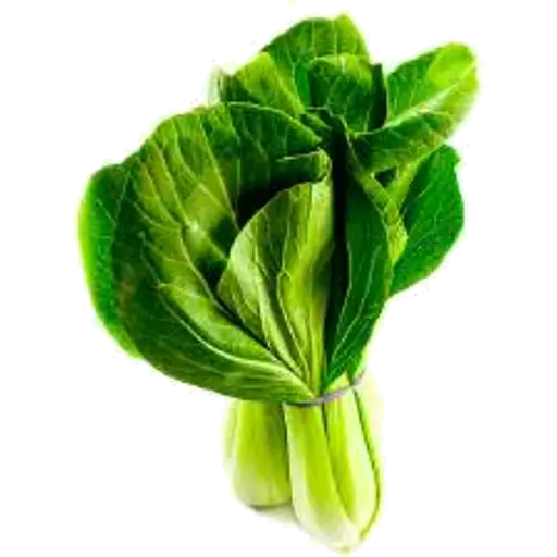Fresh Bok Choy Bundle for Delicious Recipes