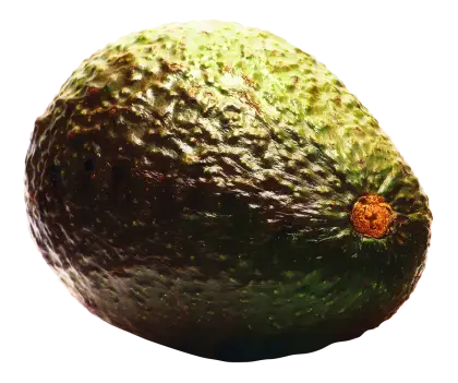 Ripe Avocado Fruit