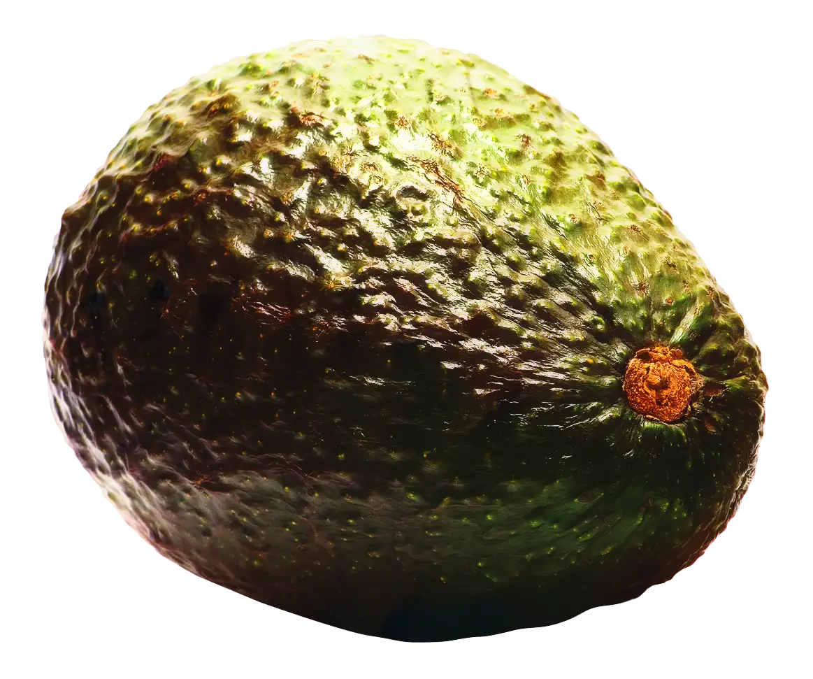 Ripe Avocado Fruit