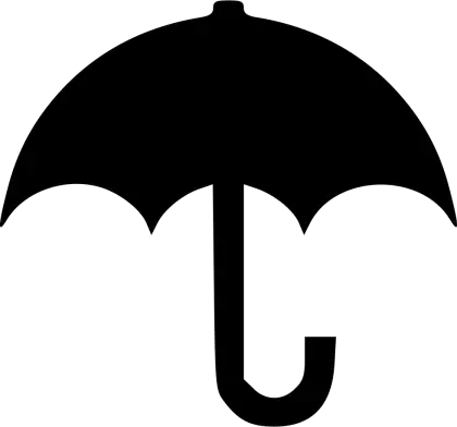 Black Umbrella with Classic Silhouette