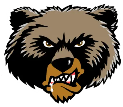 Angry Grizzly Bear Face Illustration