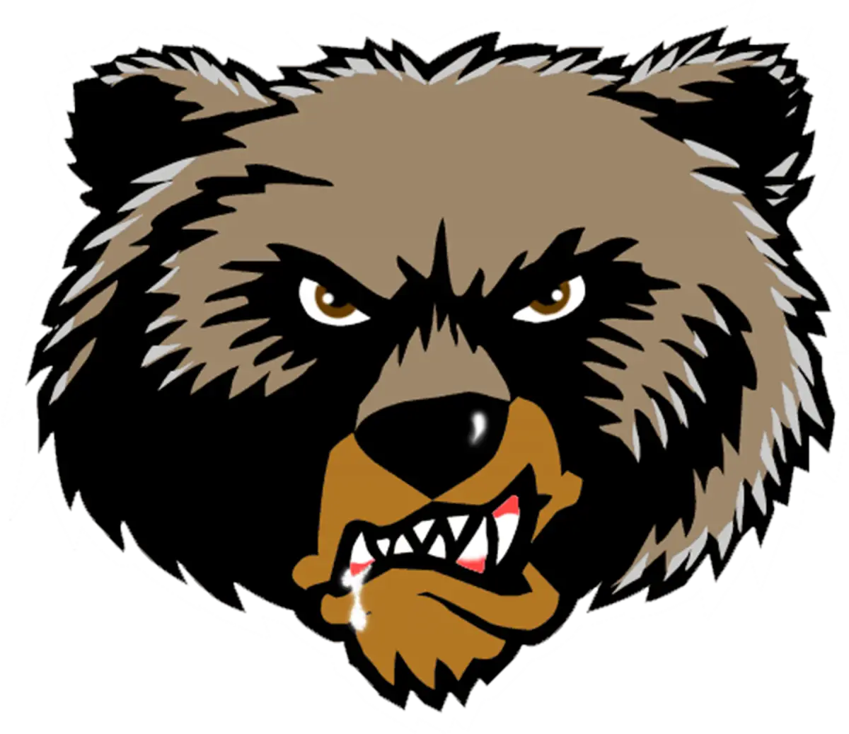 Angry Grizzly Bear Face Illustration