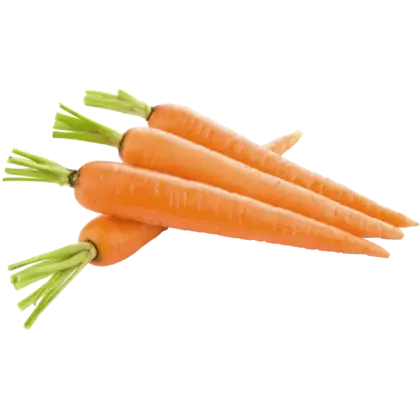 Fresh Carrots for Healthy Eating