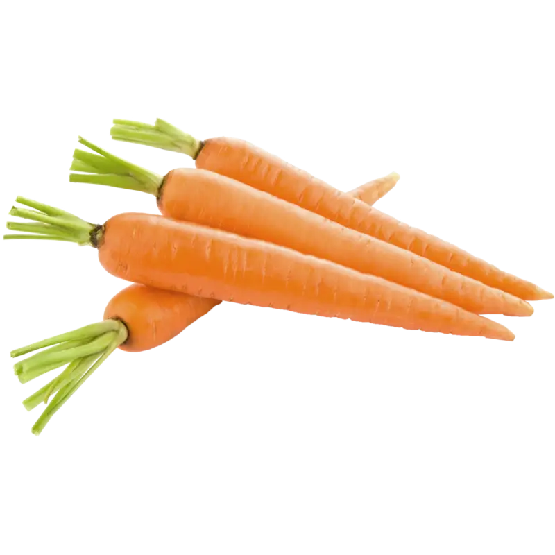 Fresh Carrots for Healthy Eating
